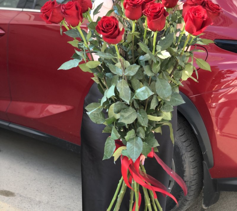 Букет из 15 метровых красных роз